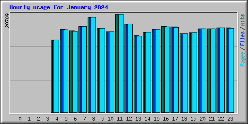 Hourly usage for January 2024