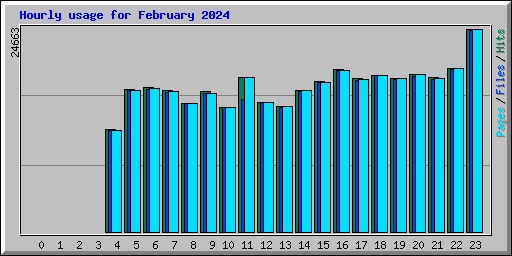 Hourly usage for February 2024